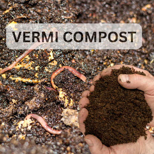 VERMI COMPOST