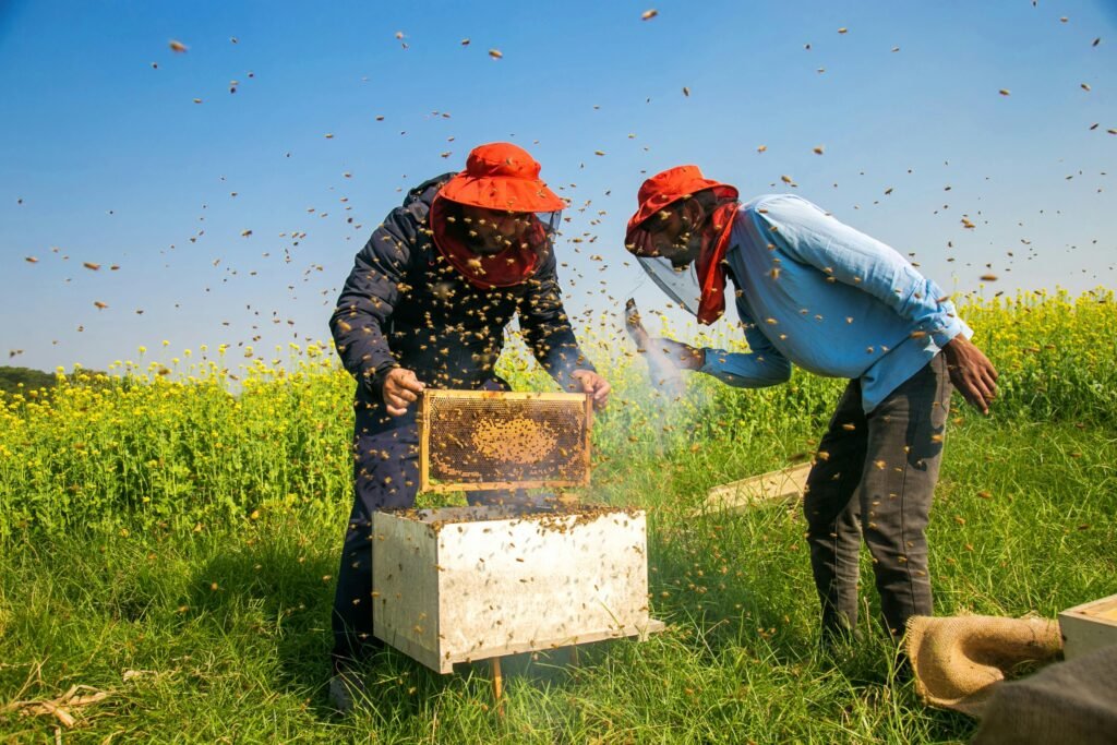 BEE KEEPNG